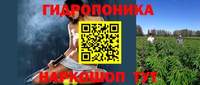 шишки Малоярославец