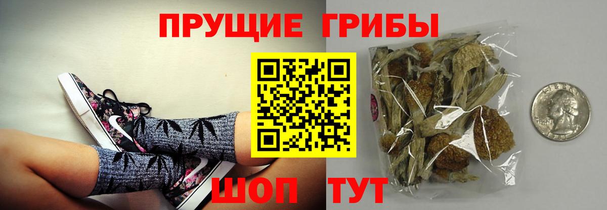 Джанкой  Псилоцибиновые грибы Psilocybine cubensis  Псилоцибиновые грибы мухоморы  Вход с VPN 